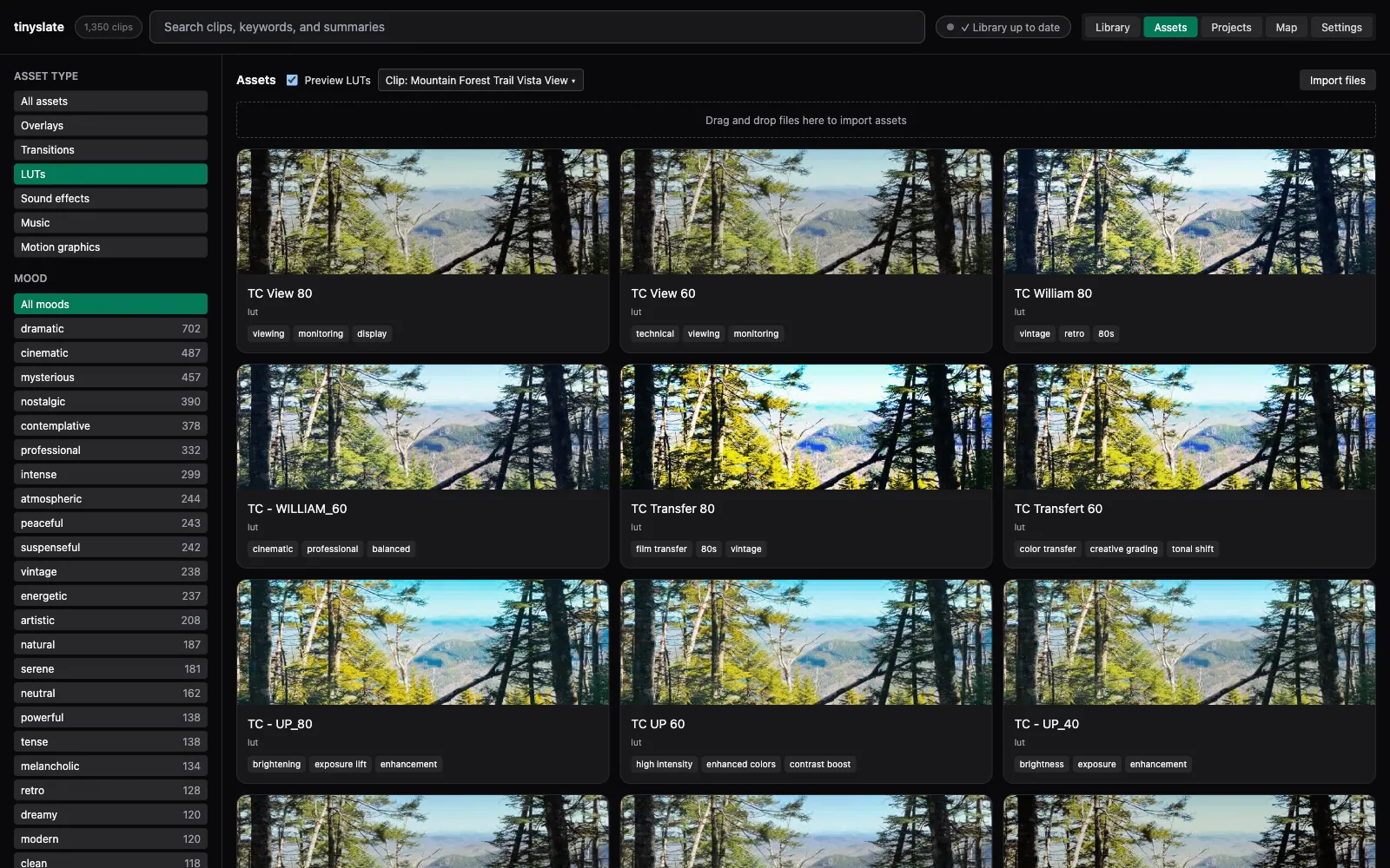 LUT previews applied to the Mountain Forest Trail Vista View clip